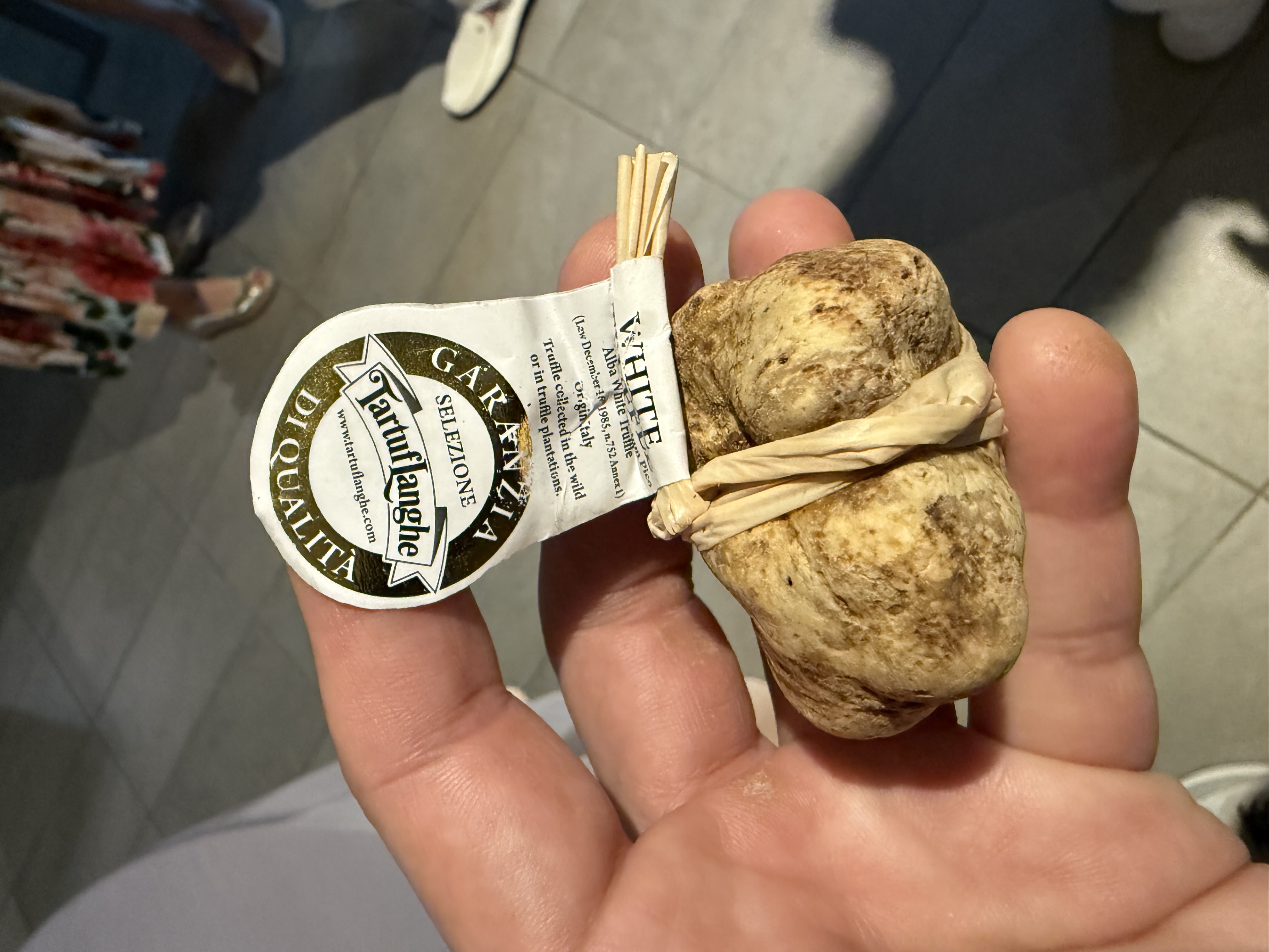 Freshly shaved white truffle at the table